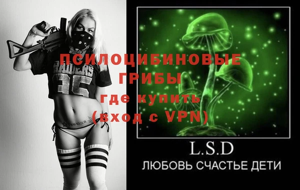 бутират Алзамай