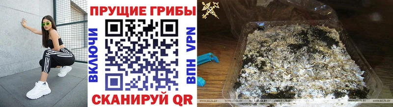 даркнет сайт блэк спрут ссылка Псилоцибиновые грибы Cubensis Тихвин