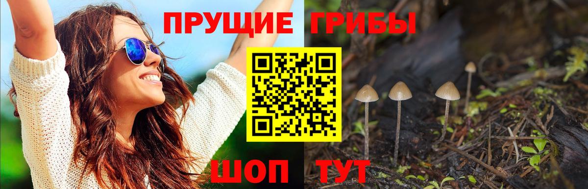 Галлюциногенные грибы ЛСД Тихвин
